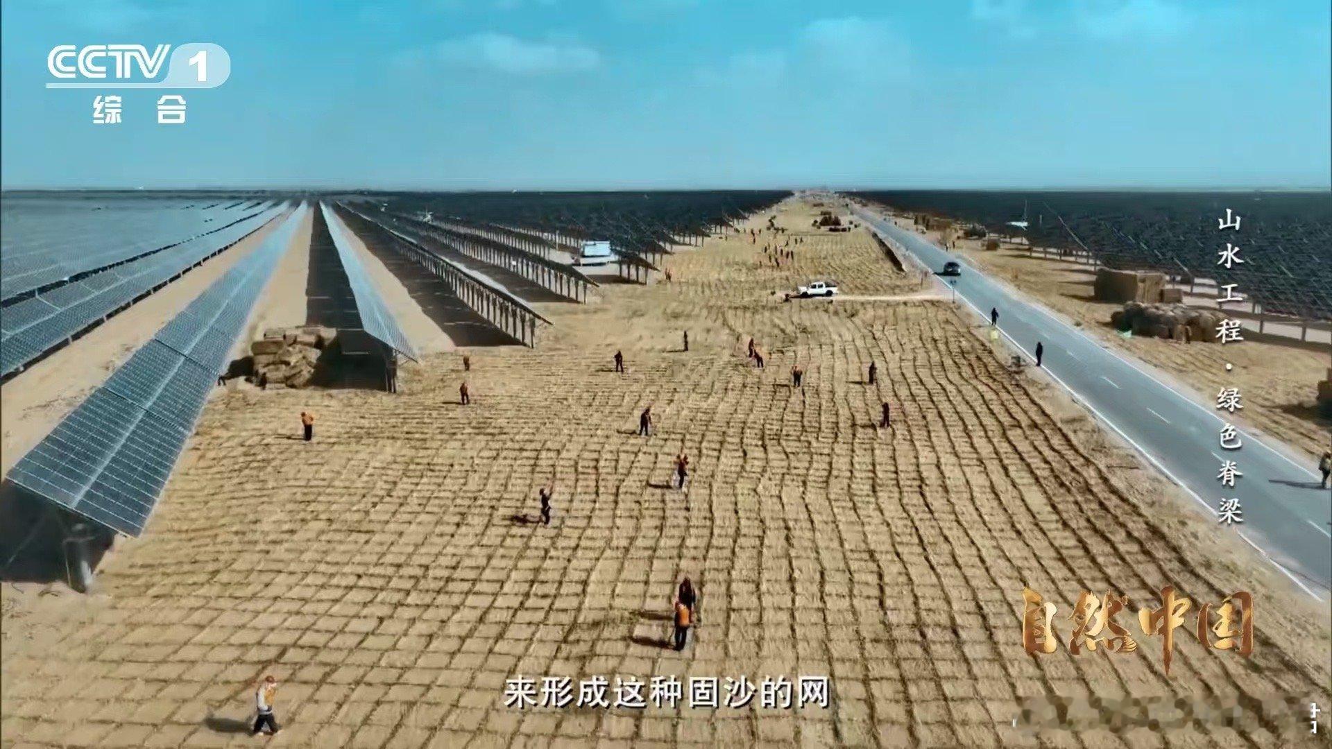 治沙界又添一员猛将 谁说沙漠只能是一片荒芜？看内蒙古如何将“阳光包袱”变成“阳光