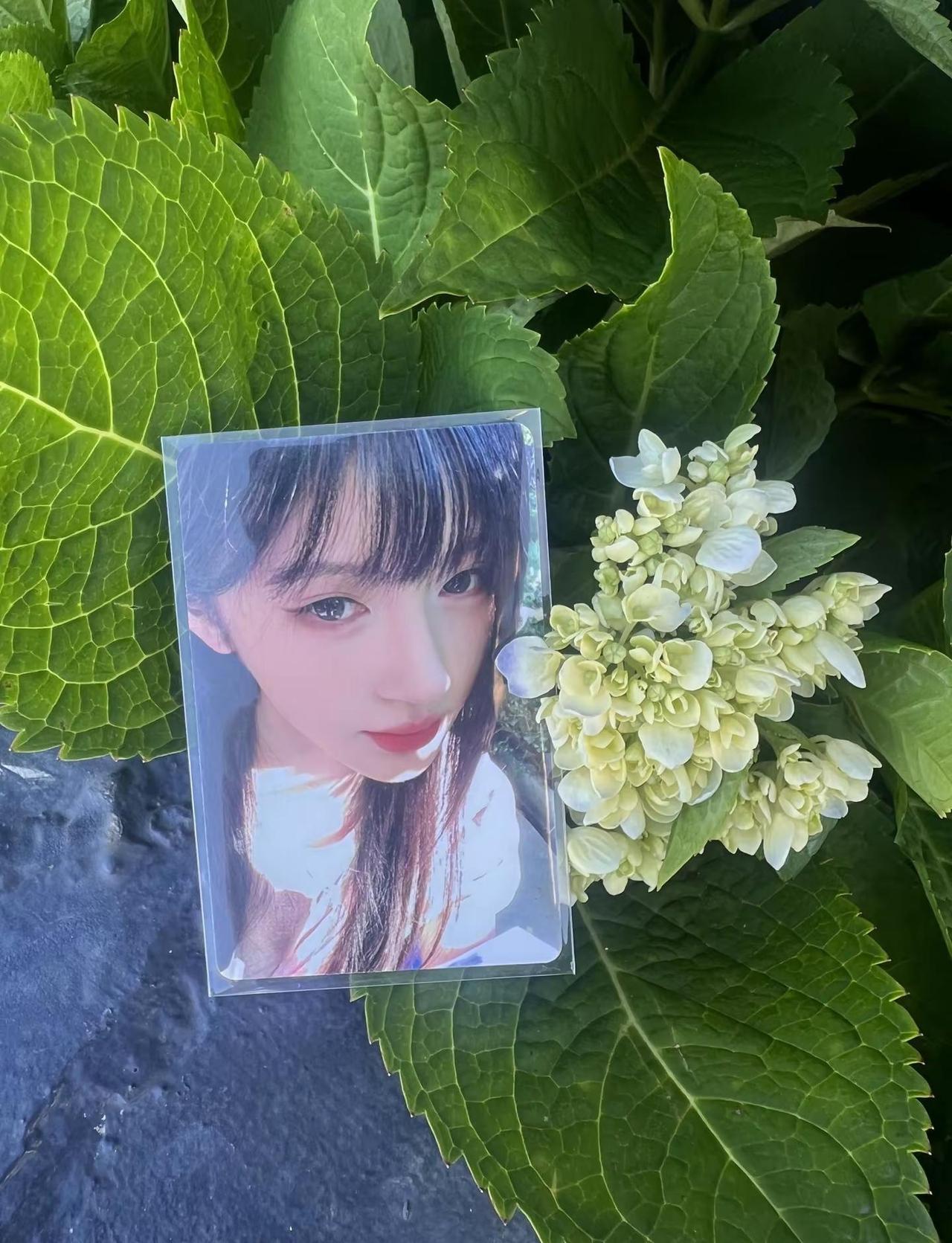把姐姐的美照带到青岛🥰@鞠婧祎 @DOU+小助手 @DOU+上热门