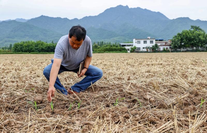 1.4万亿斤！中国人的饭碗有多稳？背后3个转折点太提气
 
家人们，刚出炉的中央