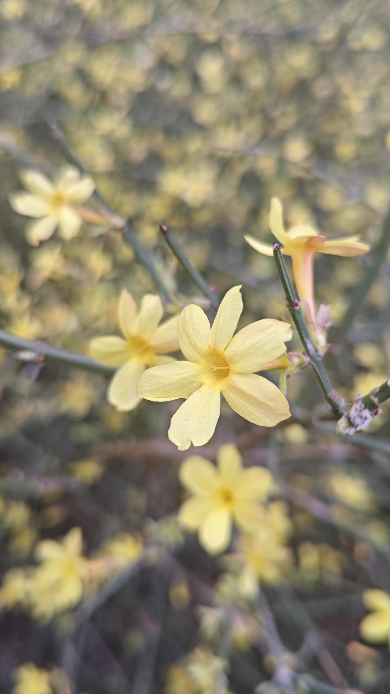 有人说，在头条给别人评论获得高点赞量也会有收益，其实，这是个误区。
单纯在头条给