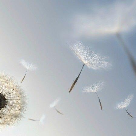 【背景图】分享‹𝟹₊˚⊹♡蓝色|米色|贝壳|沙滩|天空|文艺|日光|优雅|高级