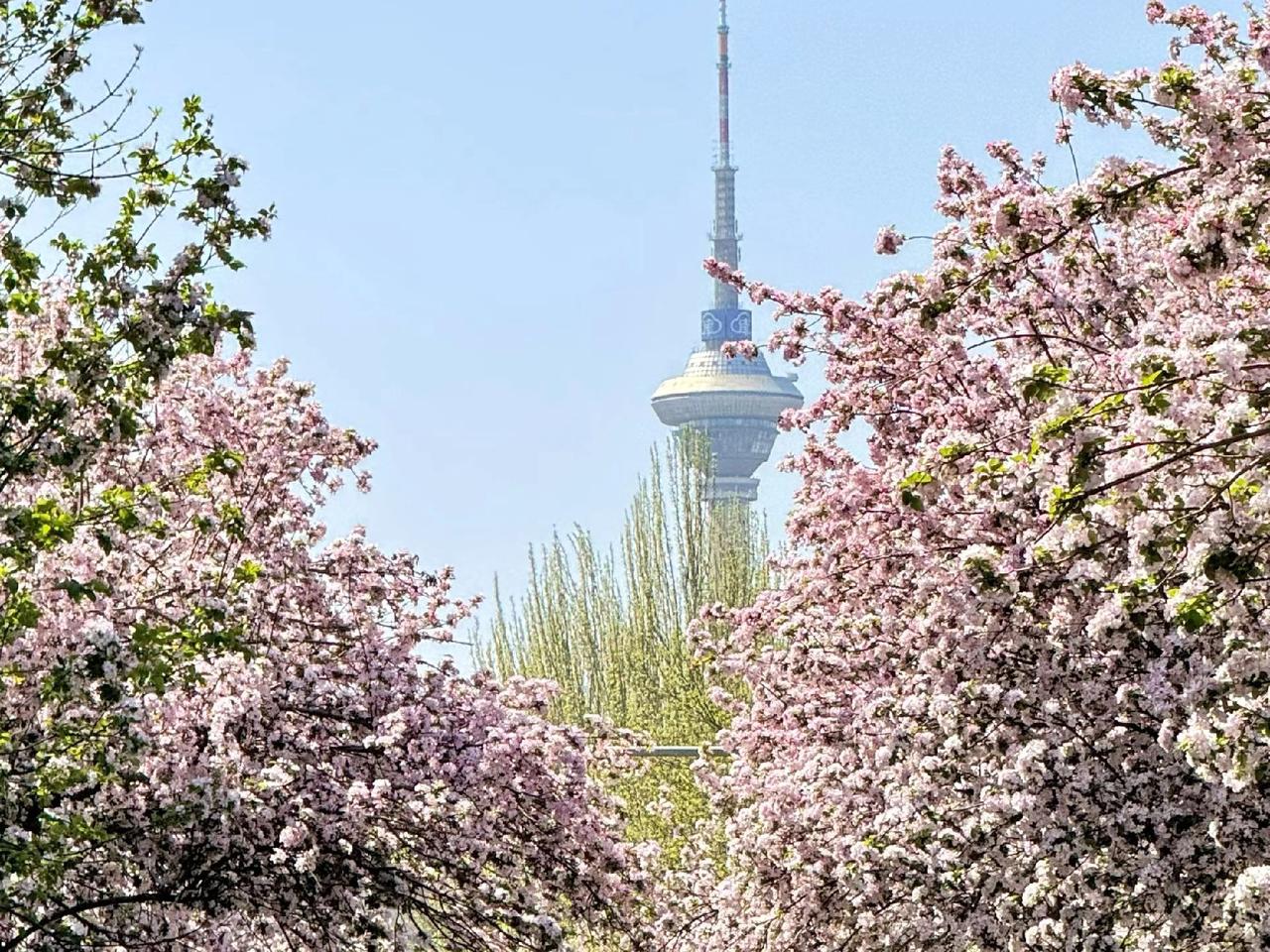 今天出去溜达了一圈，人是真多呀，到处都是人，感觉今天出来就是为了来看人的，而且今