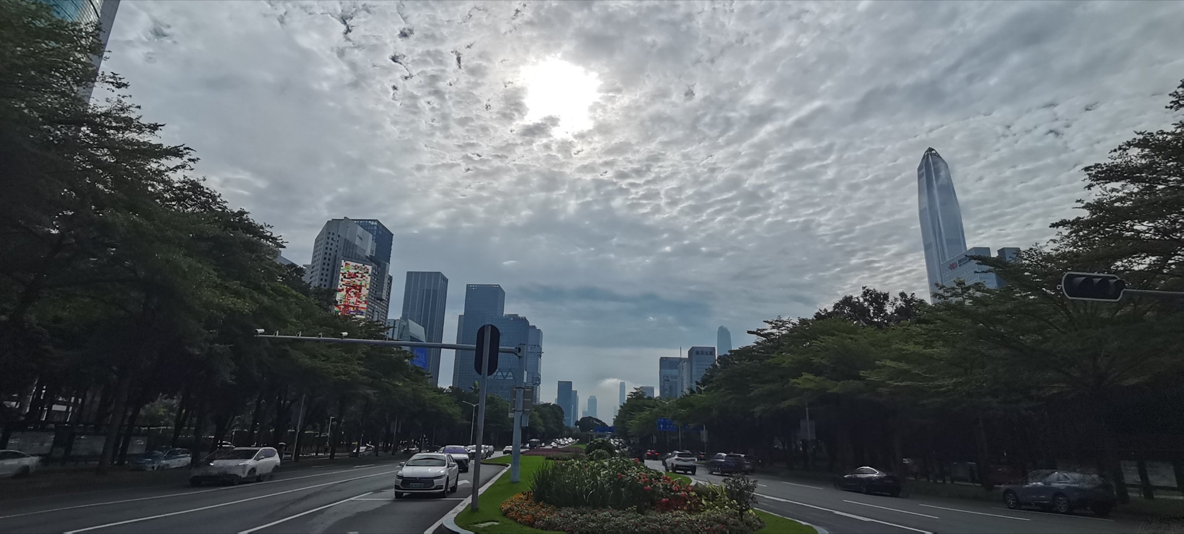 深圳难得迎来晴天，却晴得十分勉强。连绵许久的暴雨暂时停歇，蓝天没有彻底铺展开，天