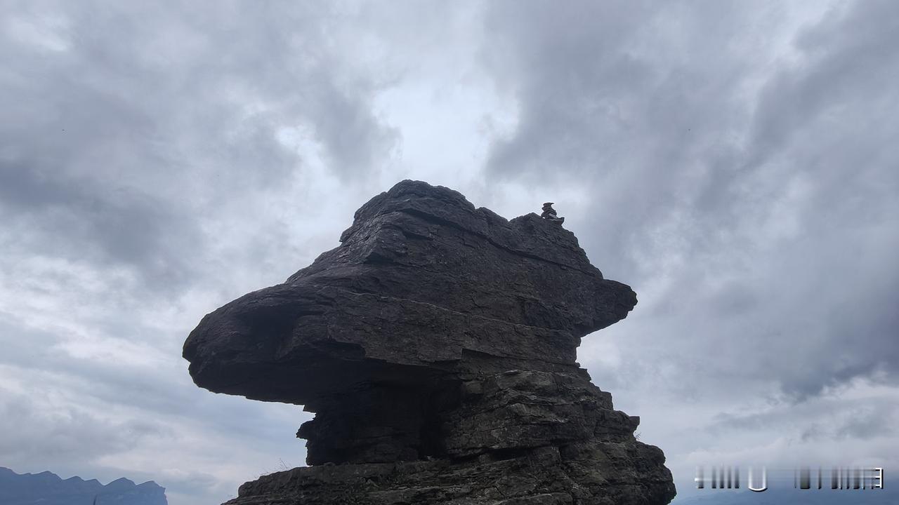 事实上，每个人从出生的那一刻开始，就是按着与自己内心灵魂深处截然不同的方向行走。