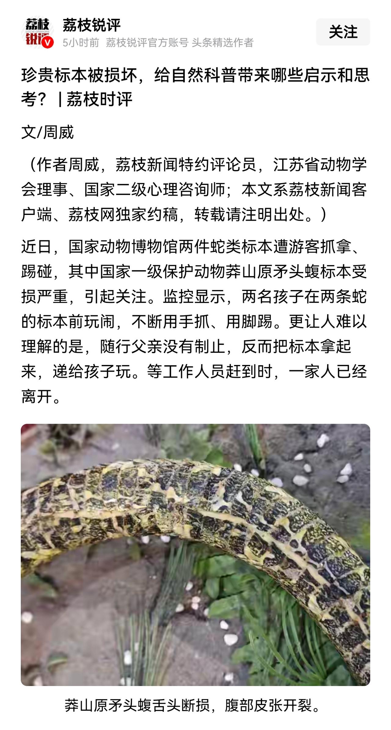 人口出生率下降？有什么可担心的？
这个时代，永远不缺的，就是“巨婴”！
