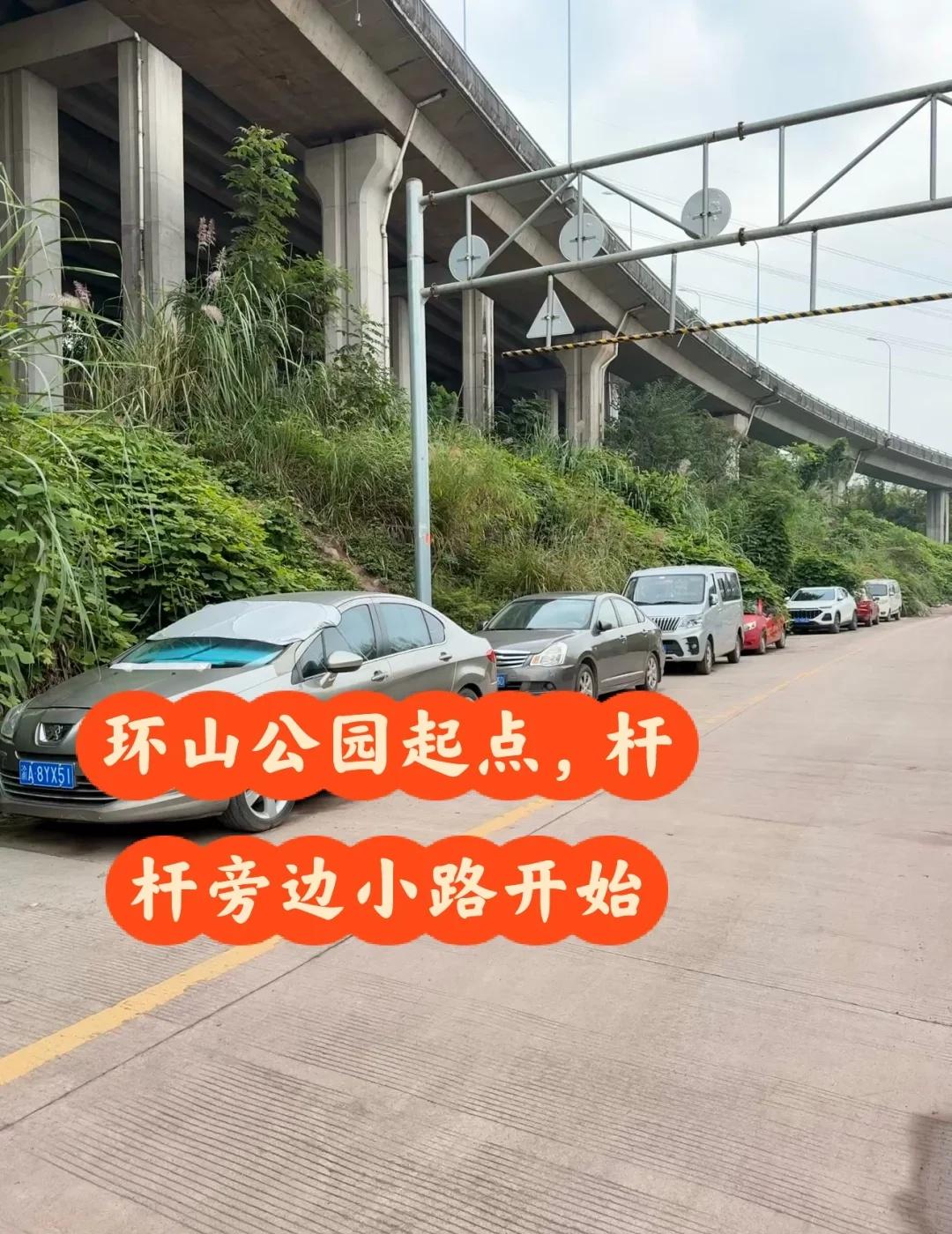 【渝北环山公路徒步｜6km野趣小环线】
🌿导航：环山公园地铁站4A口，起点好找