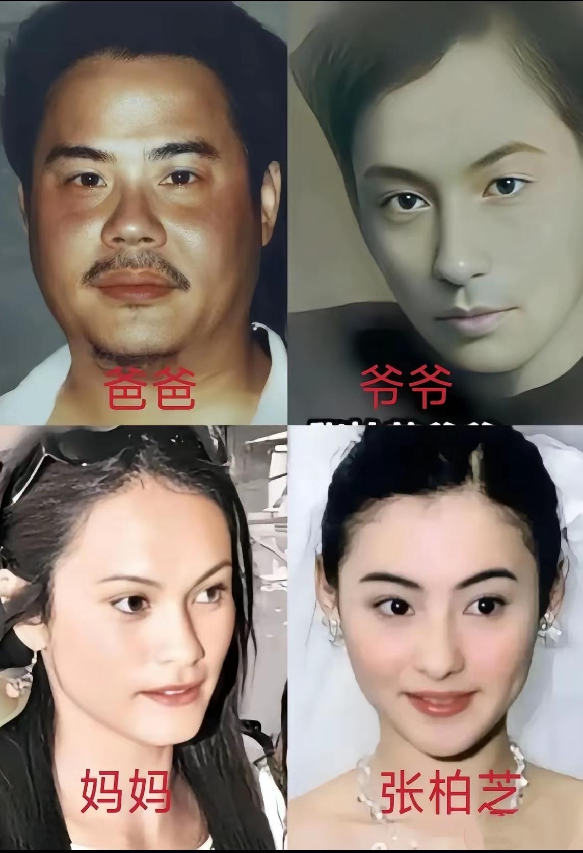 张柏芝在法庭上情绪失控哭闹对方“一切都是假的”，被法官要求专心听清楚对方的问题，