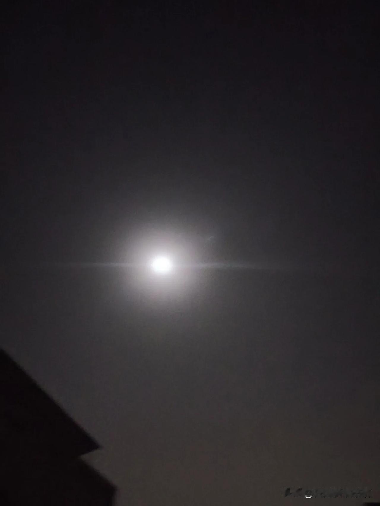 二十年前一个暑假，骄阳似火，我坐在院子里的槐树下看书。

这棵槐树长的高大，树荫