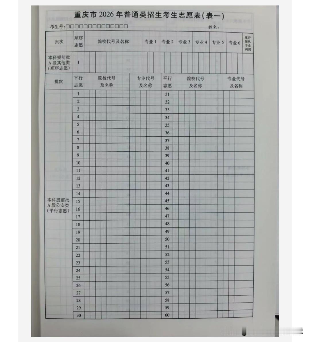 今年重庆提前批a段进行了调整，公安类实行60个专业+院校平行志愿，无调剂，录取那
