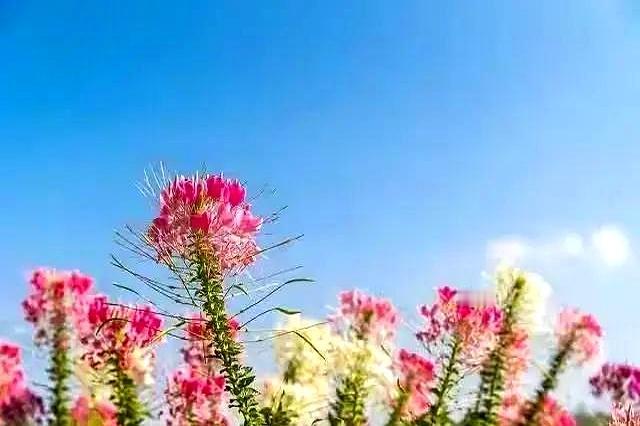 小敏翻老公手机时，看到他和“女闺蜜”的聊天记录：“你老婆不懂你”“还是你最懂我”