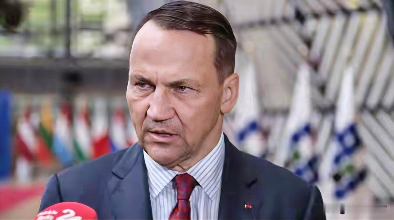 美国在欧洲最铁杆、最反俄的盟友之一——波兰外长拉多斯瓦夫·西科尔斯基，当众把美国