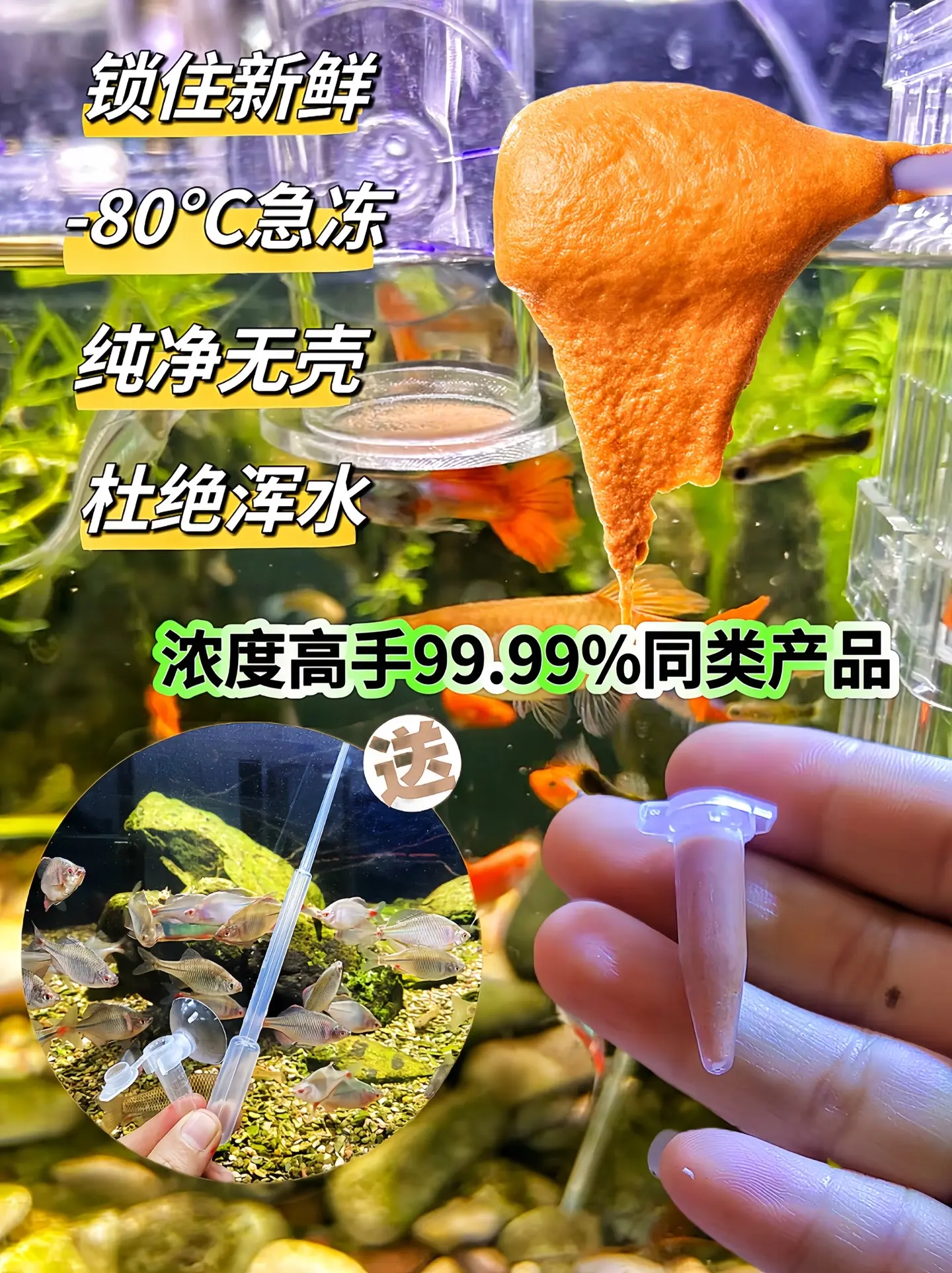 小鱼超爱吃，这是一款品质非常好的一款丰年虾幼虫卵，孔雀鱼灯科鱼 各种小...