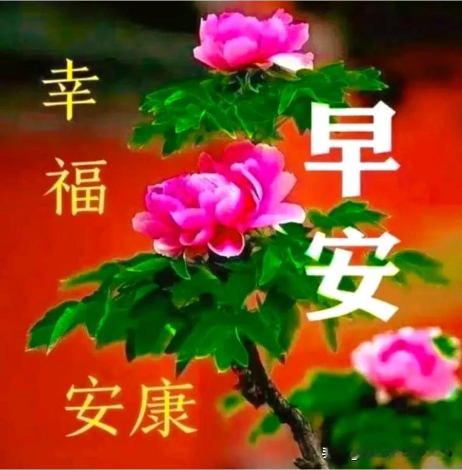 早上好呀！周二快乐哟！愿冬日吉祥，幸福安康，万事如意，每天都开心！🌹[福][祈