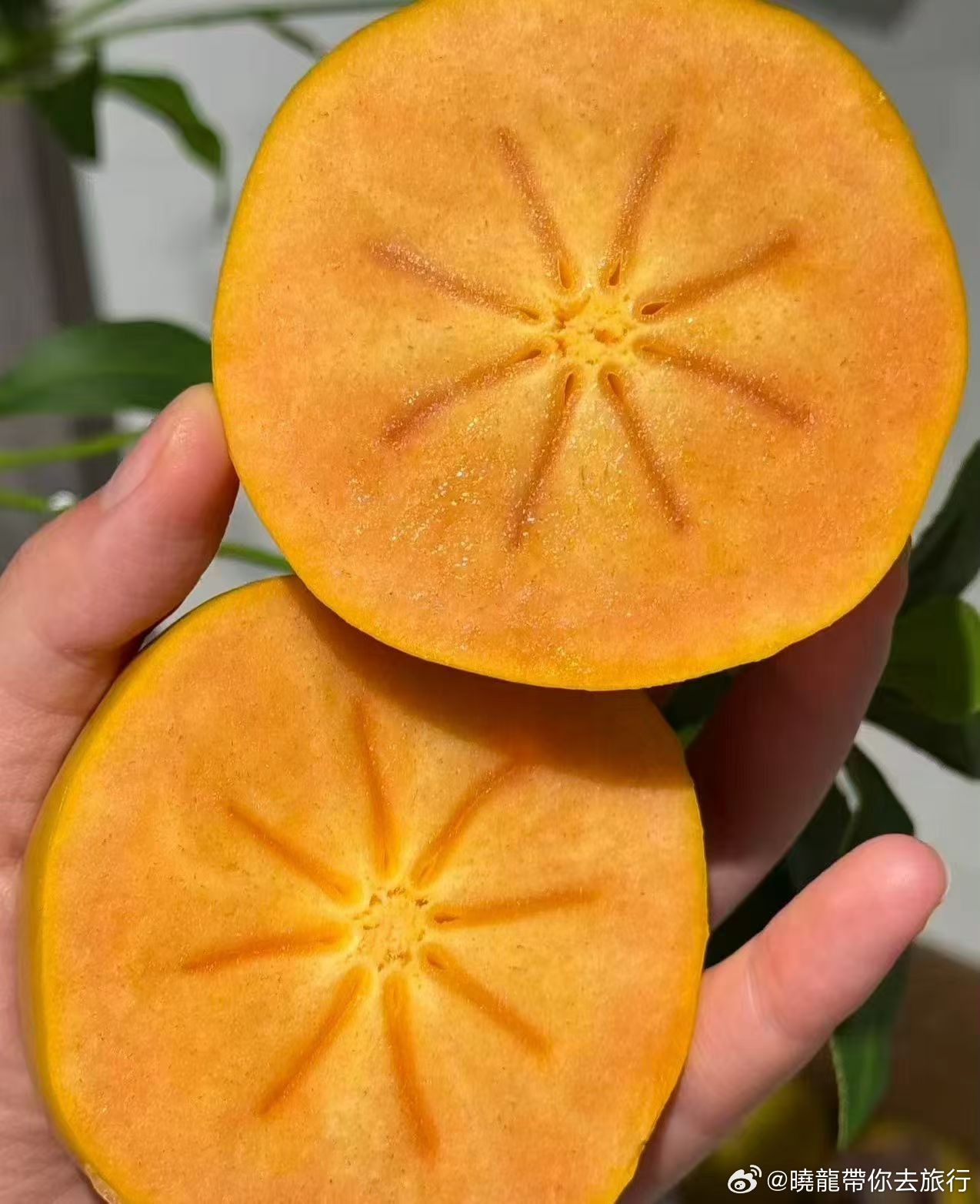 脆甜柿子🍅爱媛果冻橙🍊凯特芒果🥭 四川大凉山丑苹果🍎想要什么水果都可以联