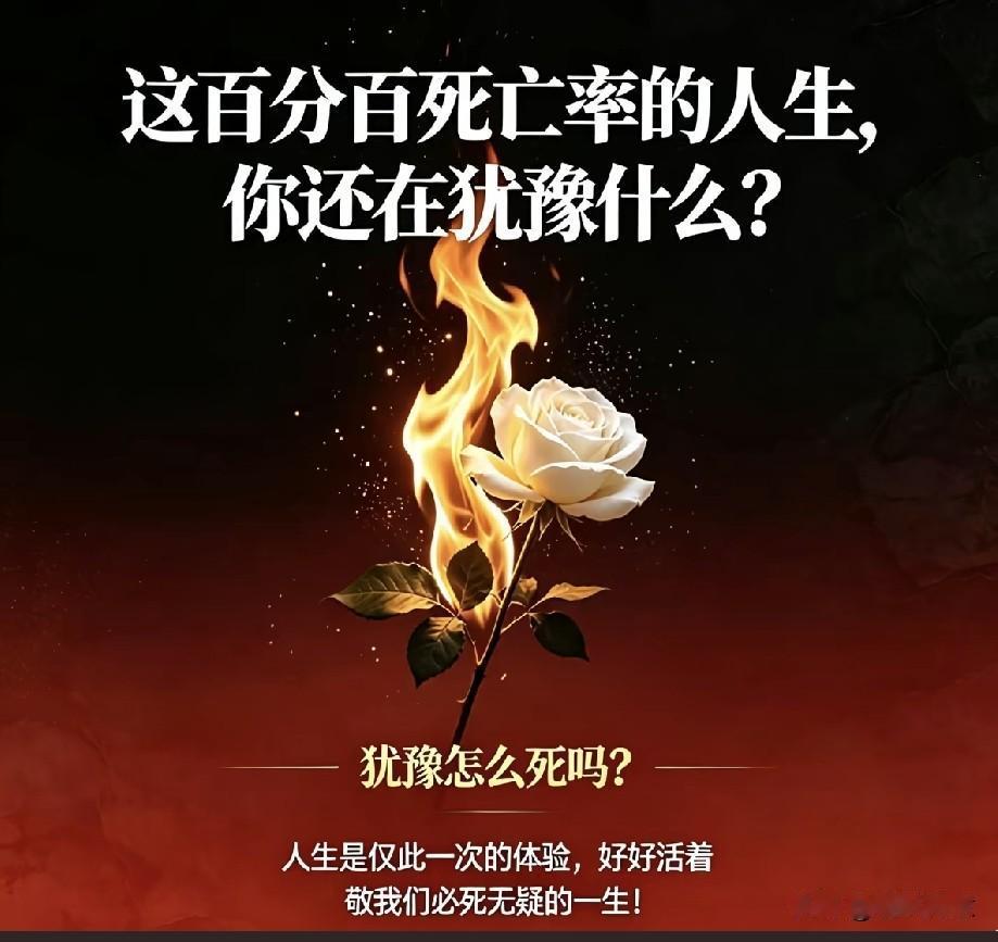 别犹豫了，好好活出自己的人生吧！