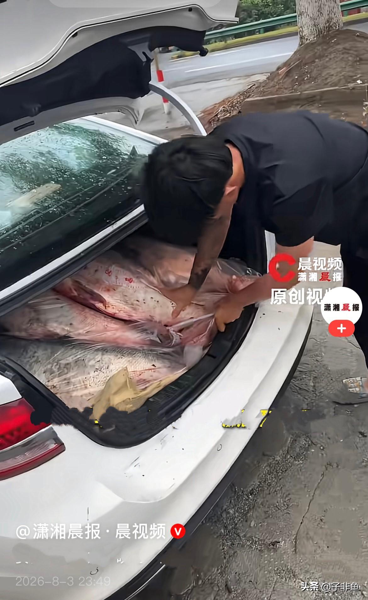 近日，安徽几位钓友太会玩了，几人结伴自驾，专门从安徽奔赴江苏常州，就为过一把钓鱼