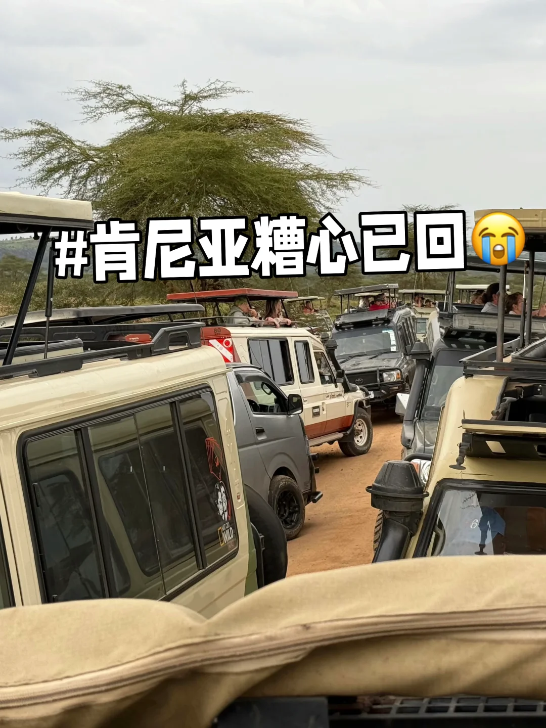 7.12 肯尼亚已回。。我真的😭崩溃了……