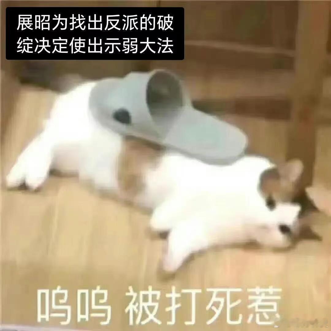 杨洋回应雨霖铃开播 被杨洋新头像萌化了，软萌御猫形象适配度超高，特意为剧集开播换