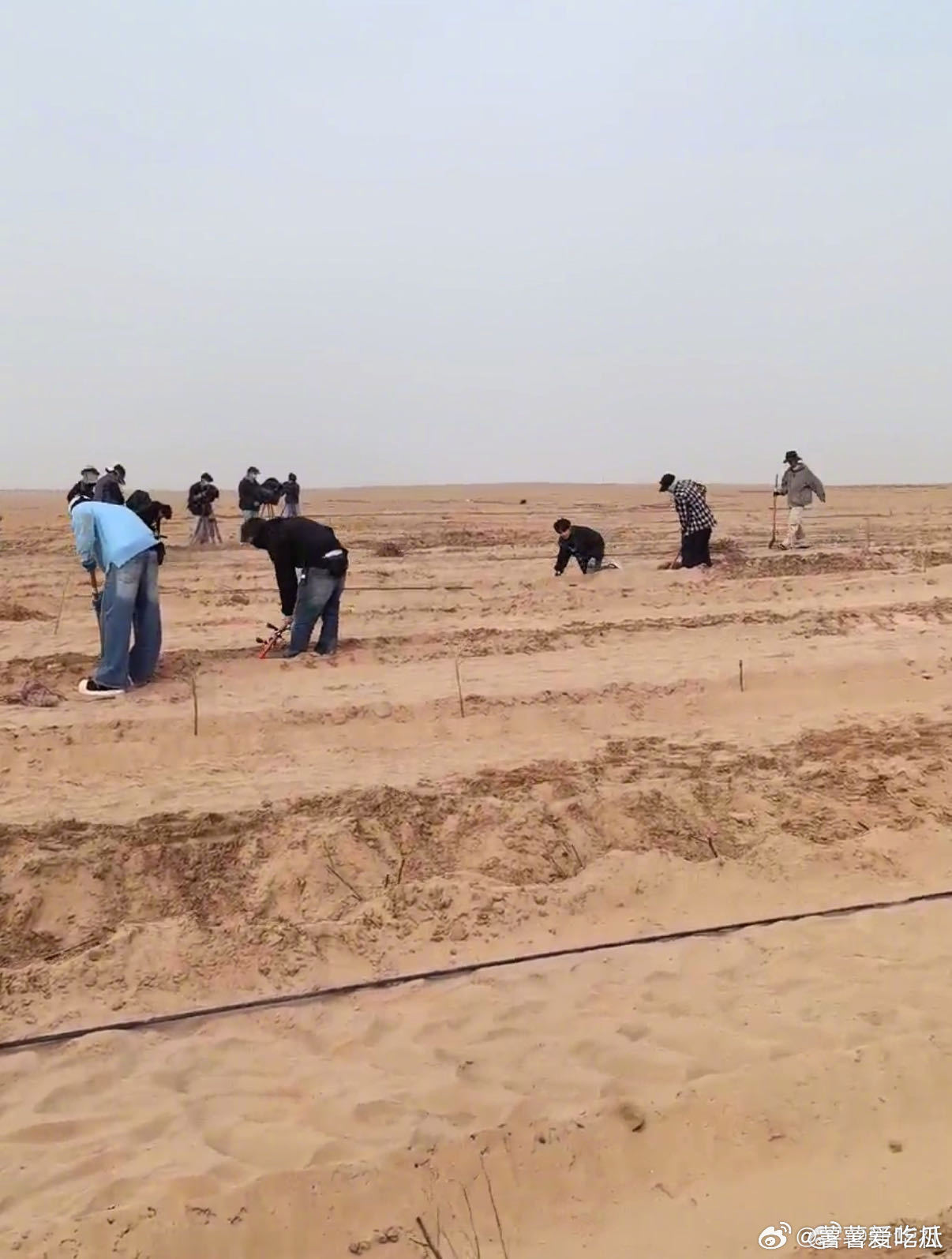 种地吧沙漠开工现场种地吧沙漠开工！好久不见啊啊啊啊 