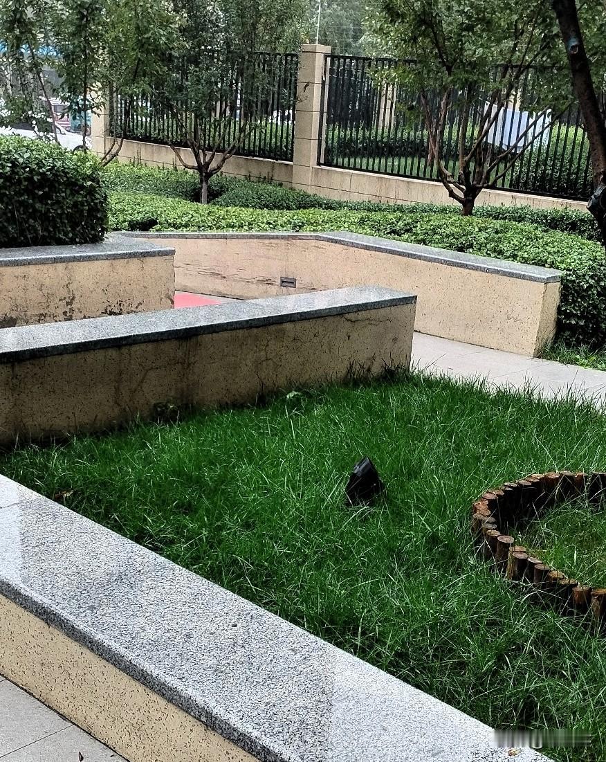 假期马上结束了，大家都回公司上班了吗？今天仍是阴雨绵绵，放假的心还没收回来。假期