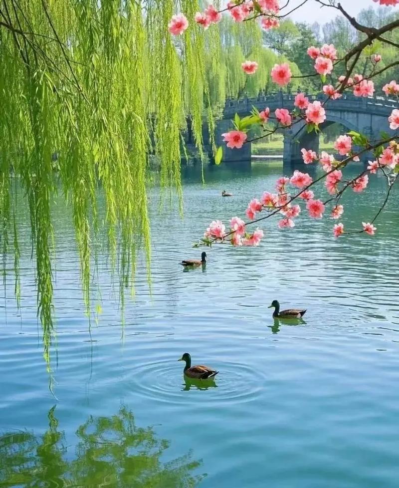 上联：春风蕴诗意；

（图片来自网络）