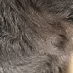 懂得尊重别人，也尊重自己的心声，学会调整，遇见困难了，多想想，没什么大不了;遇见