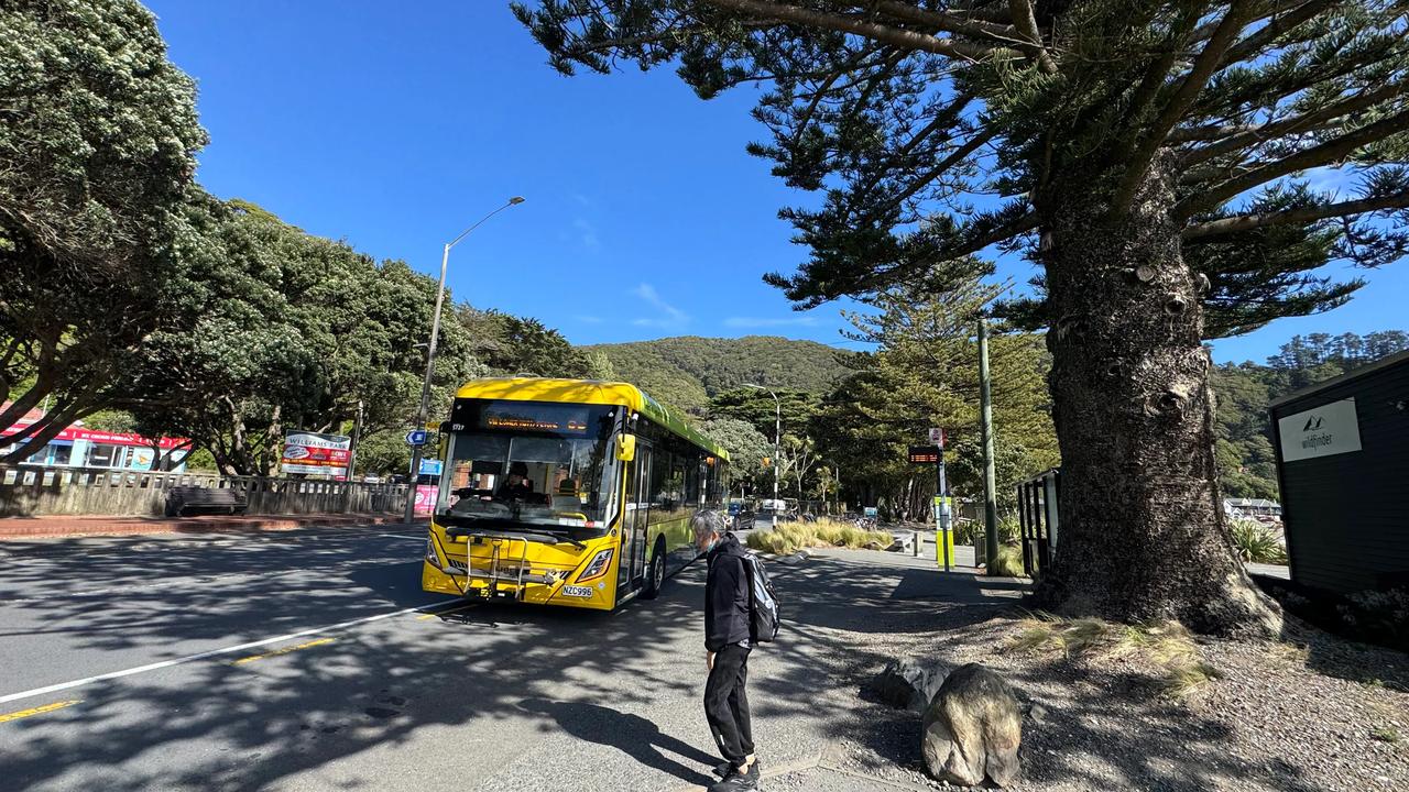 新西兰北岛自由行（四）乘坐公共汽车🚌～～在新西兰公交车是我们自由行主要交通工具