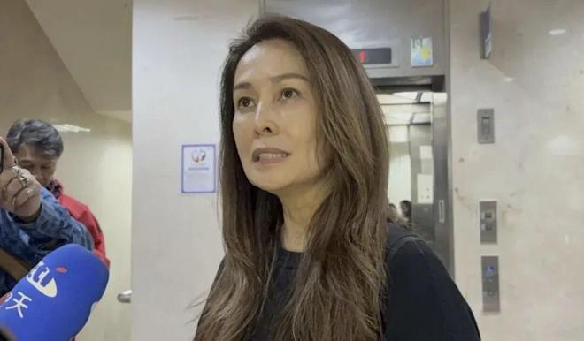 高金素梅事件，国台办回应：绿色恐怖。

绿色恐怖这四个字基本上可以理解为，大陆已