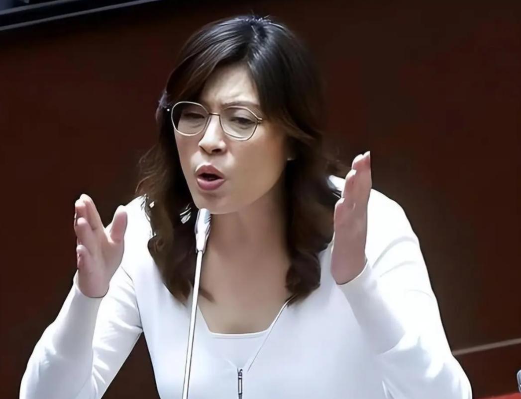 台湾蓝营终于摊牌了！郑丽文不再模糊回避。这记重拳打向何方？两岸关系从此再无回头路