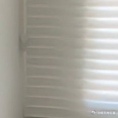 人生最终的价值在于觉醒和思考的能力，而不只在于生存壁纸壁纸手机壁纸高清壁纸无水印