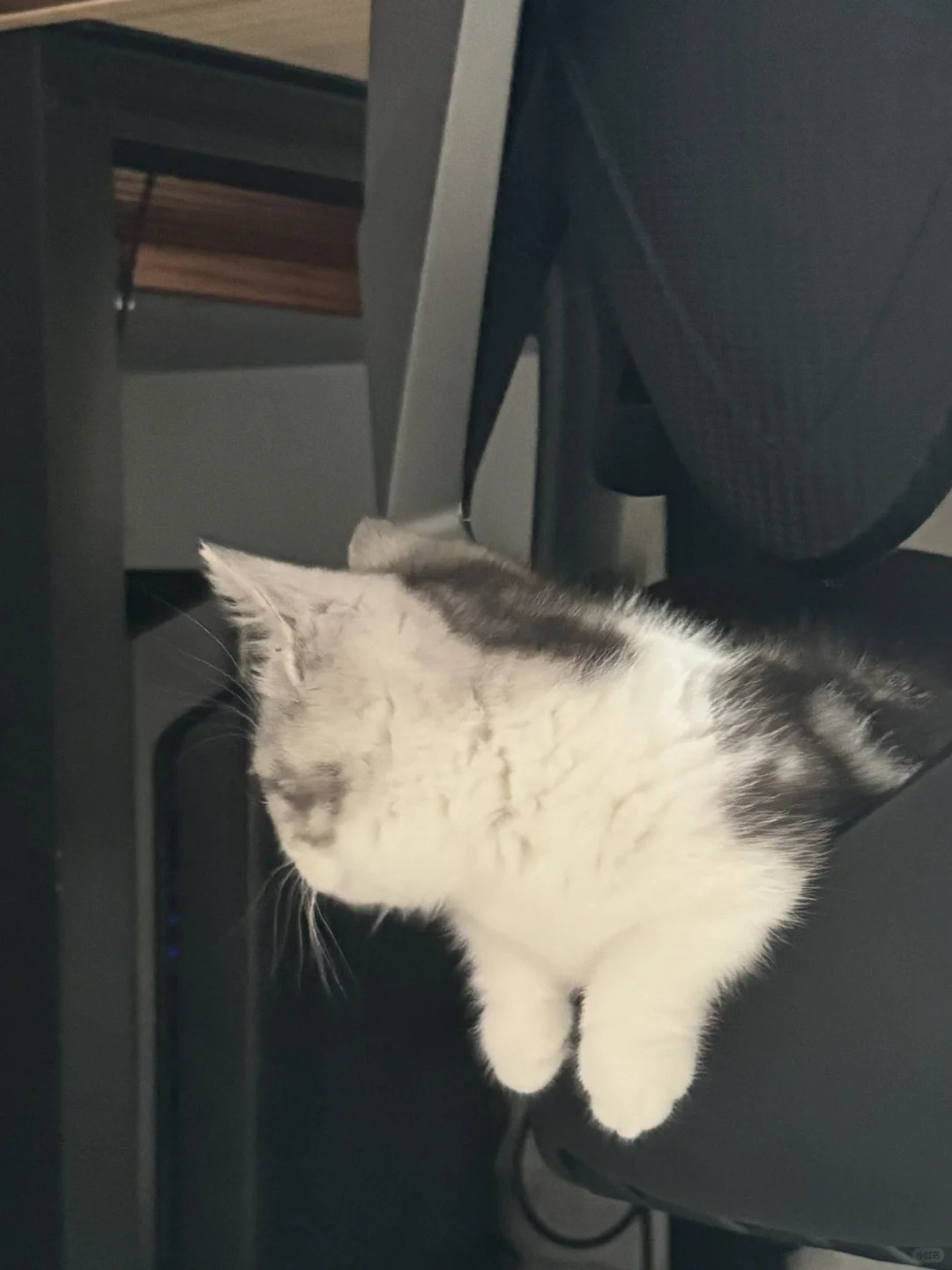 爸爸打游戏鼻噶在干嘛