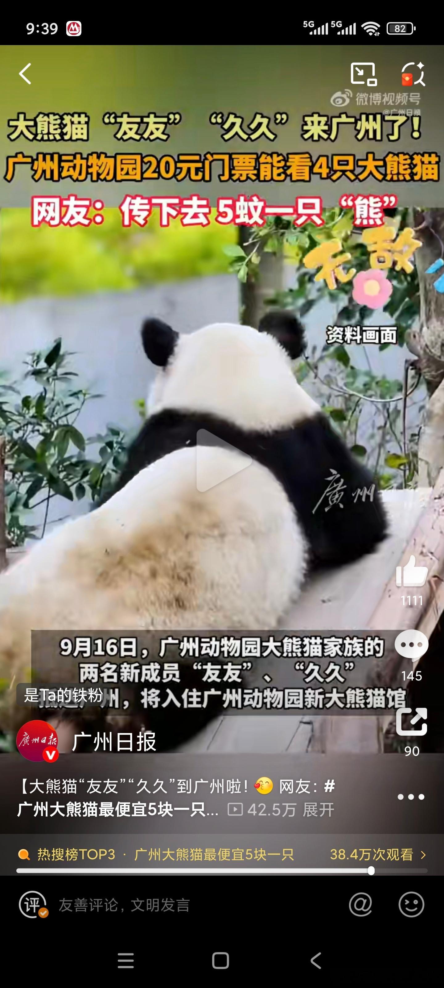 广州大熊猫最便宜5块一只 黄子华：买呀，买呀，抵到烂啦，买呀 ​​​
