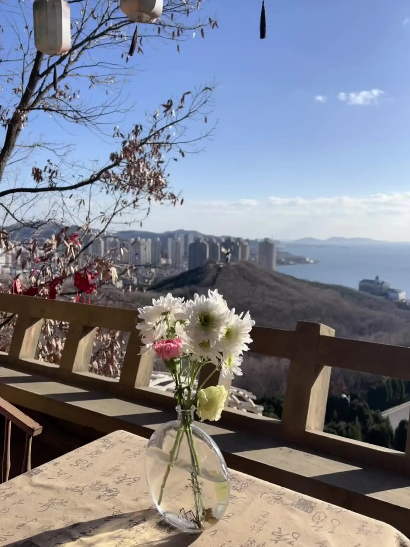 所想皆如愿