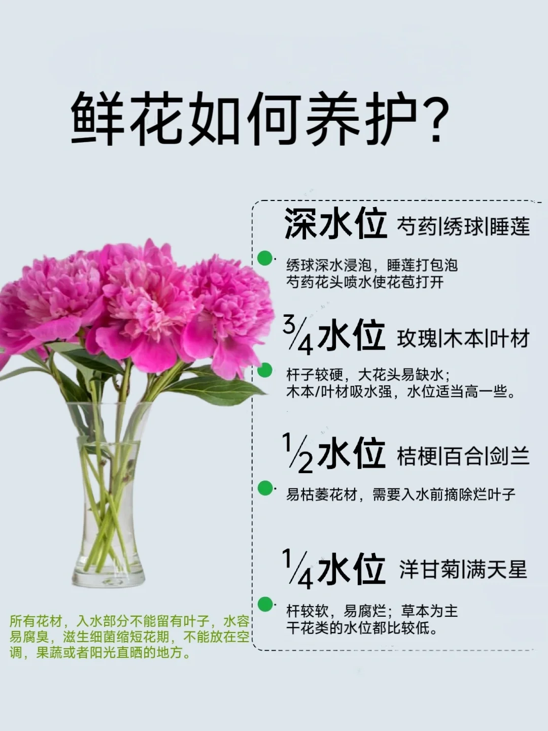新手必备 鲜花💐养护技巧合集分享