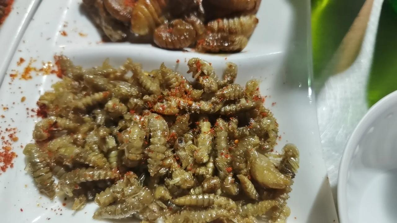 虫子宴云南…
