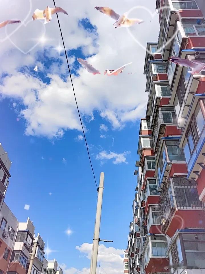 晒图笔记大赛