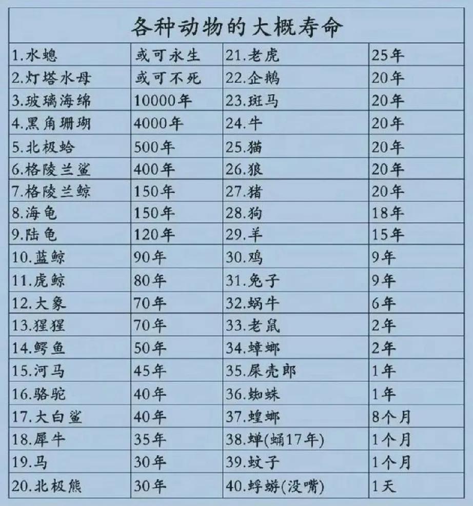 猩猩、大象、虎鲸和蓝鲸这四种动物与人的寿命相接近。蜉蝣寿命只有一天，苏轼说：“寄