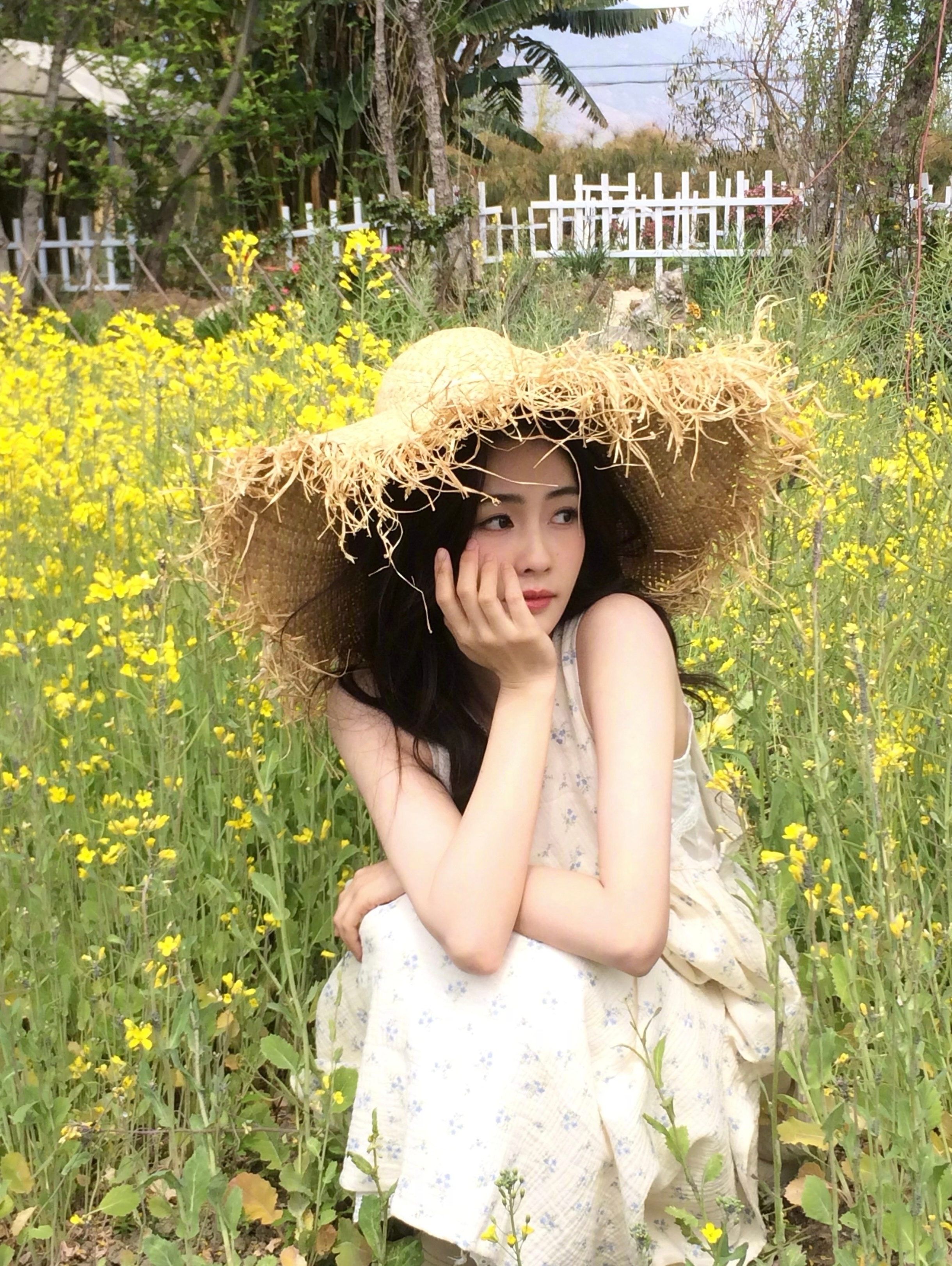 可颜可田 白鹿#白鹿中秋美照# ​​​