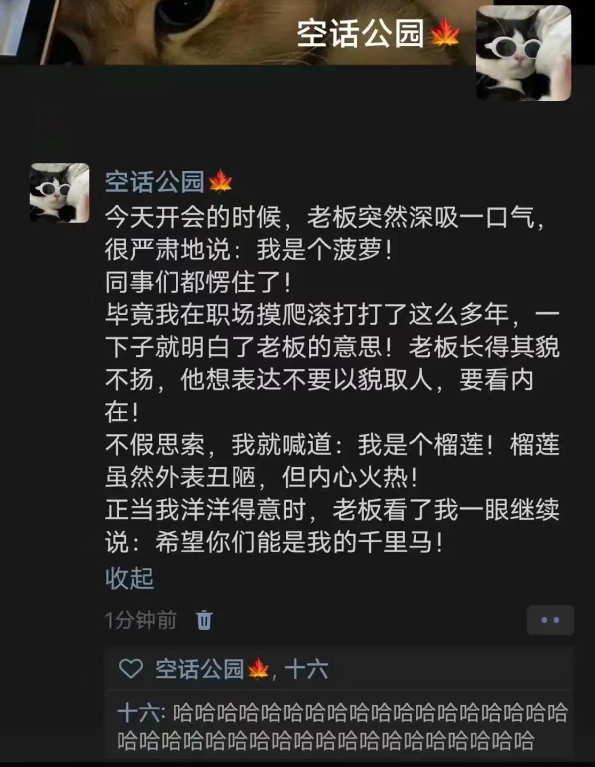 今天开会的时候，老板突然深吸一口气很严肃地说:我是个菠萝!同事们都愣住了!毕竟我
