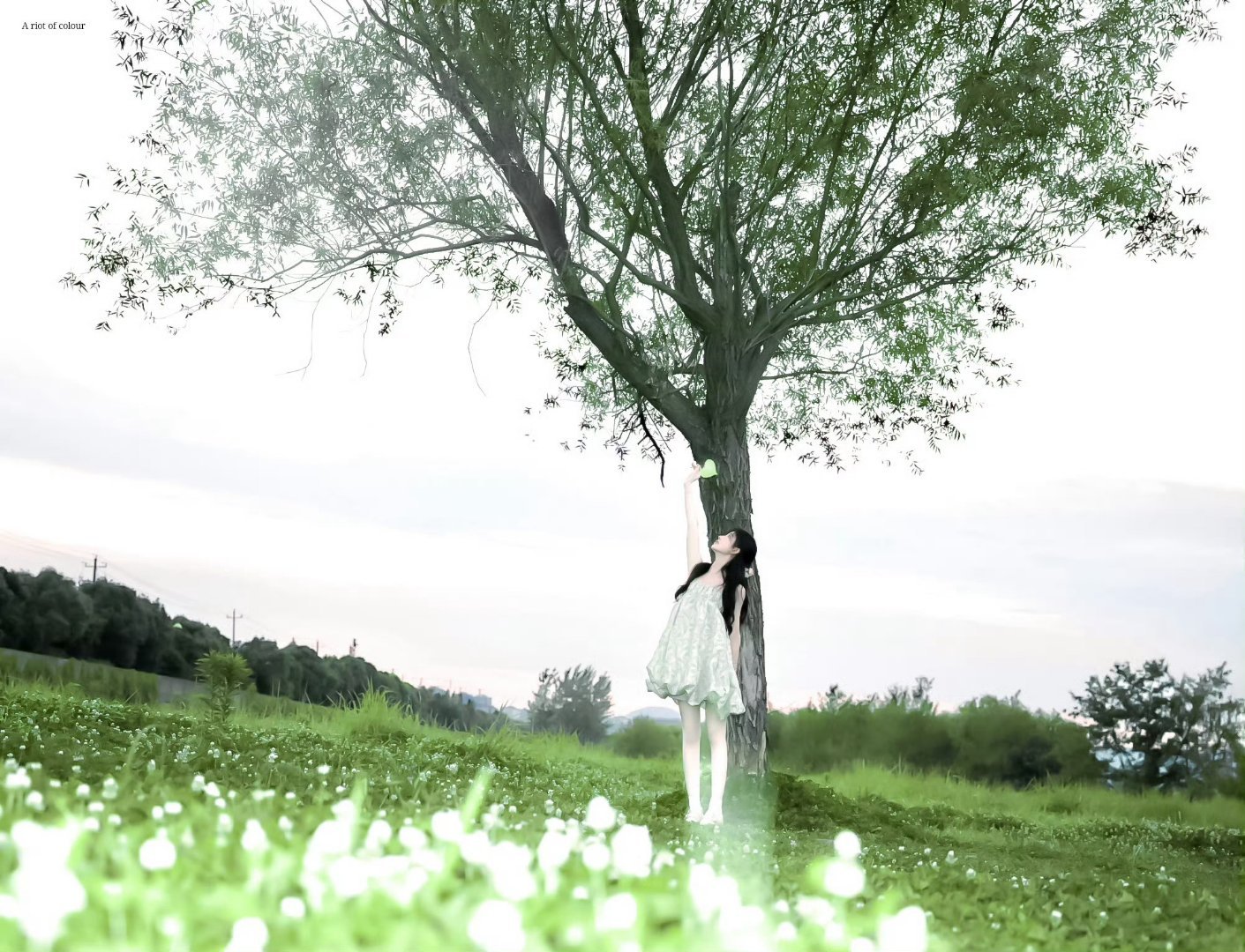 𝙒𝙚𝙘𝙝𝙖𝙩头像｜女头｜ins风｜绿色系｜鞠婧祎｜审美积累 ｜图源网