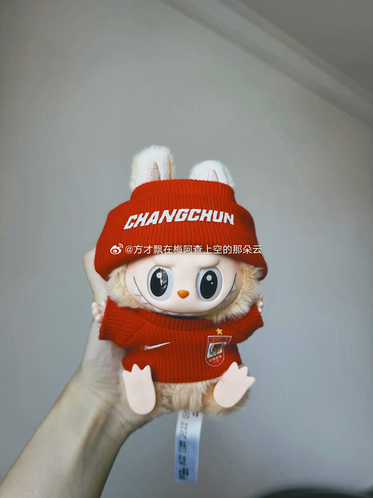 【拉布布团】长春亚泰和青岛海牛拉布布及服饰搭配 各有一套球衣配件 出镜的是二代娃