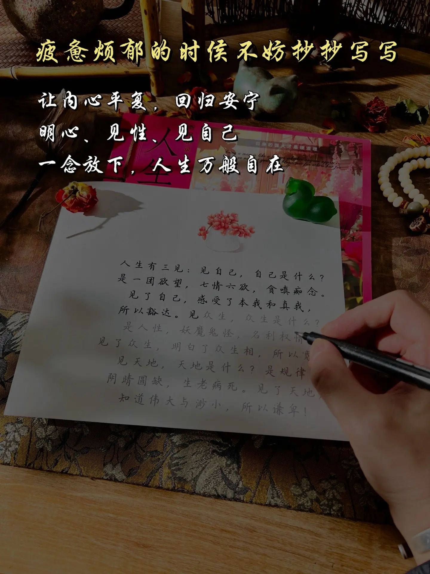 能干扰你的往往是自己的太在意，能伤害你的，往往是自己的想不开，你若平和...