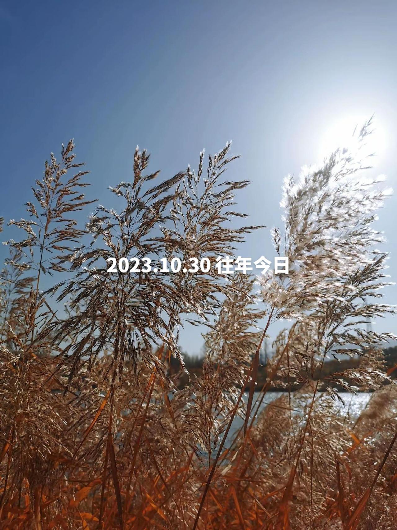 两年前的今天……