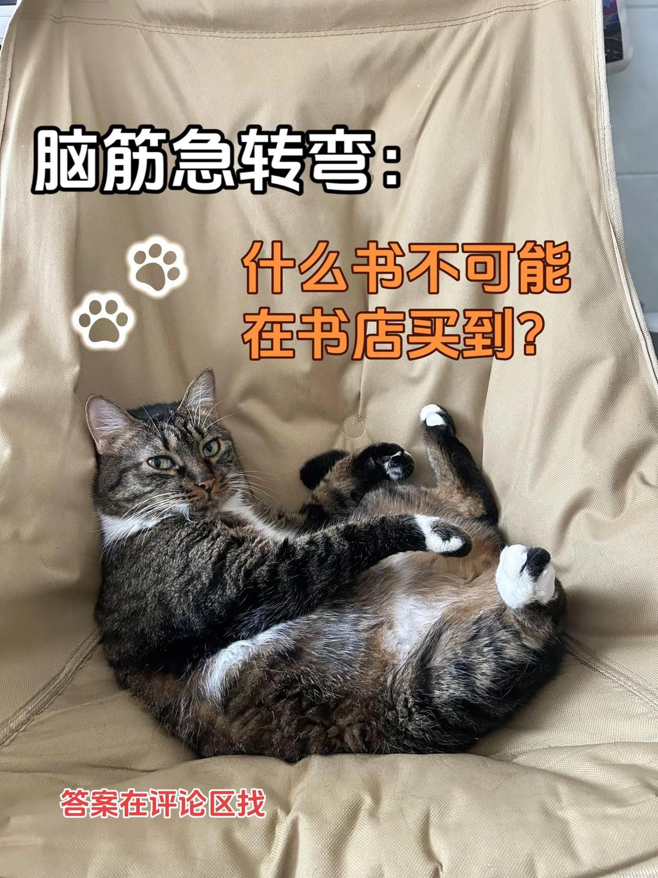 猫咪出题猜一猜。脑筋急转弯来了！什么书书店里买不到？知道答案的评论区说一说～脑筋