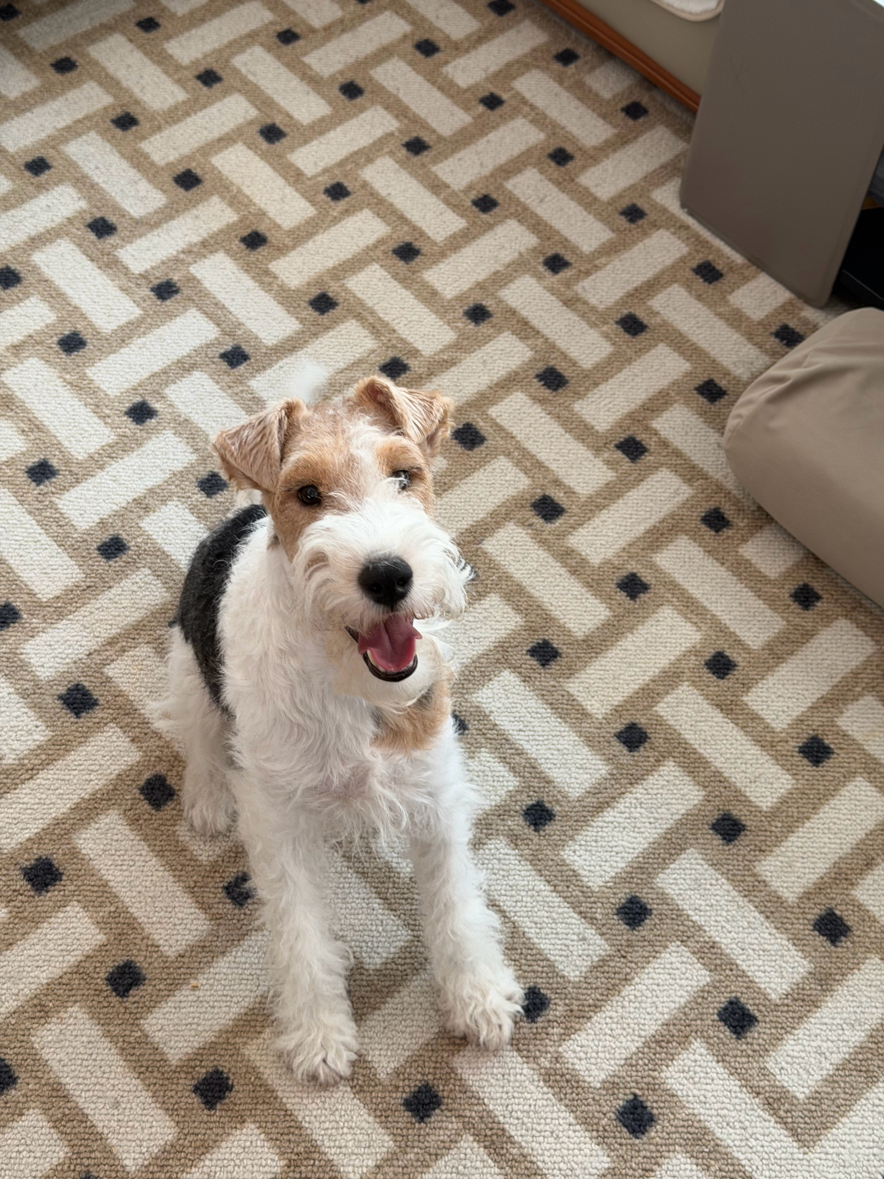 早上好啊，周五啦～ 苏州