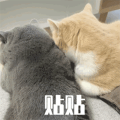 对台风巴威停止编号快快结束吧 