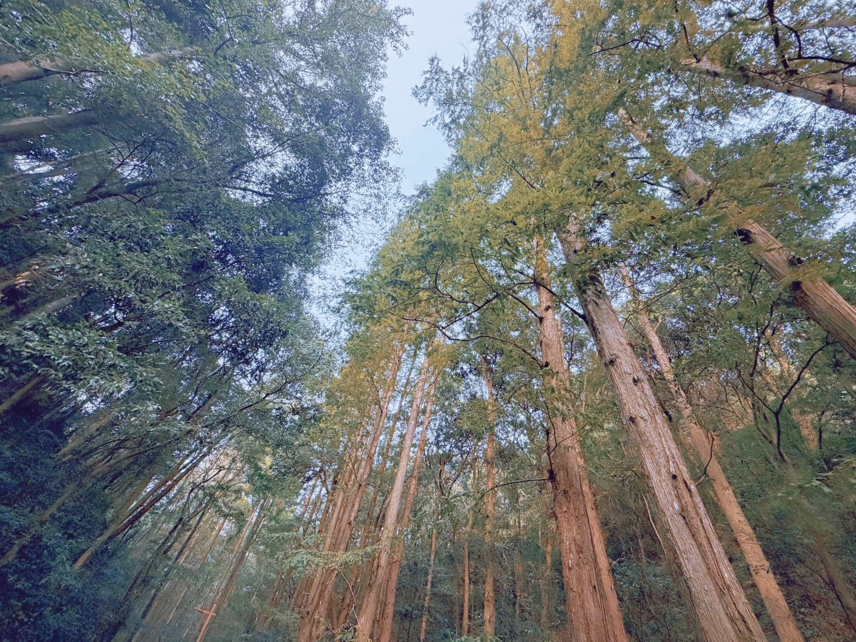 关晓彤晒照打网球关晓彤学打网球随拍 运动少女关晓彤解锁网球技能！最新随拍里，她穿