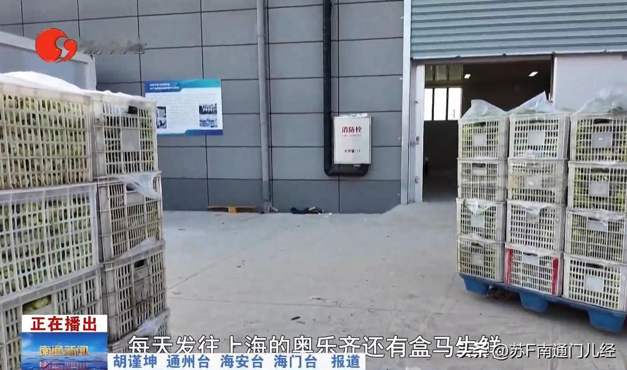 发现上海奥乐齐、盒马里有很多农副产品都是南通产的，尤其是蔬菜、鸡蛋等，虽然比其他