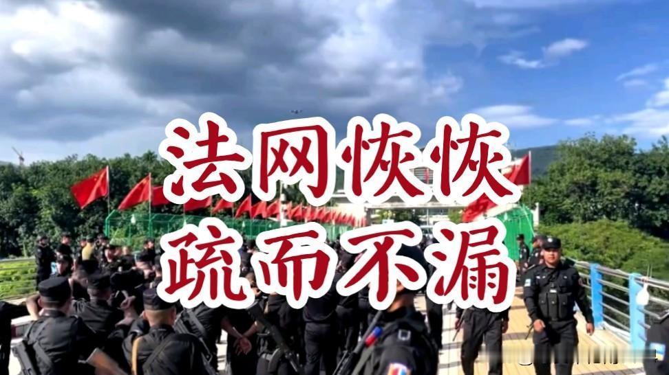 听说要动真格的了，抓两条“大鱼”。
府里都发话了，监察署长那边也放了风，说就这几