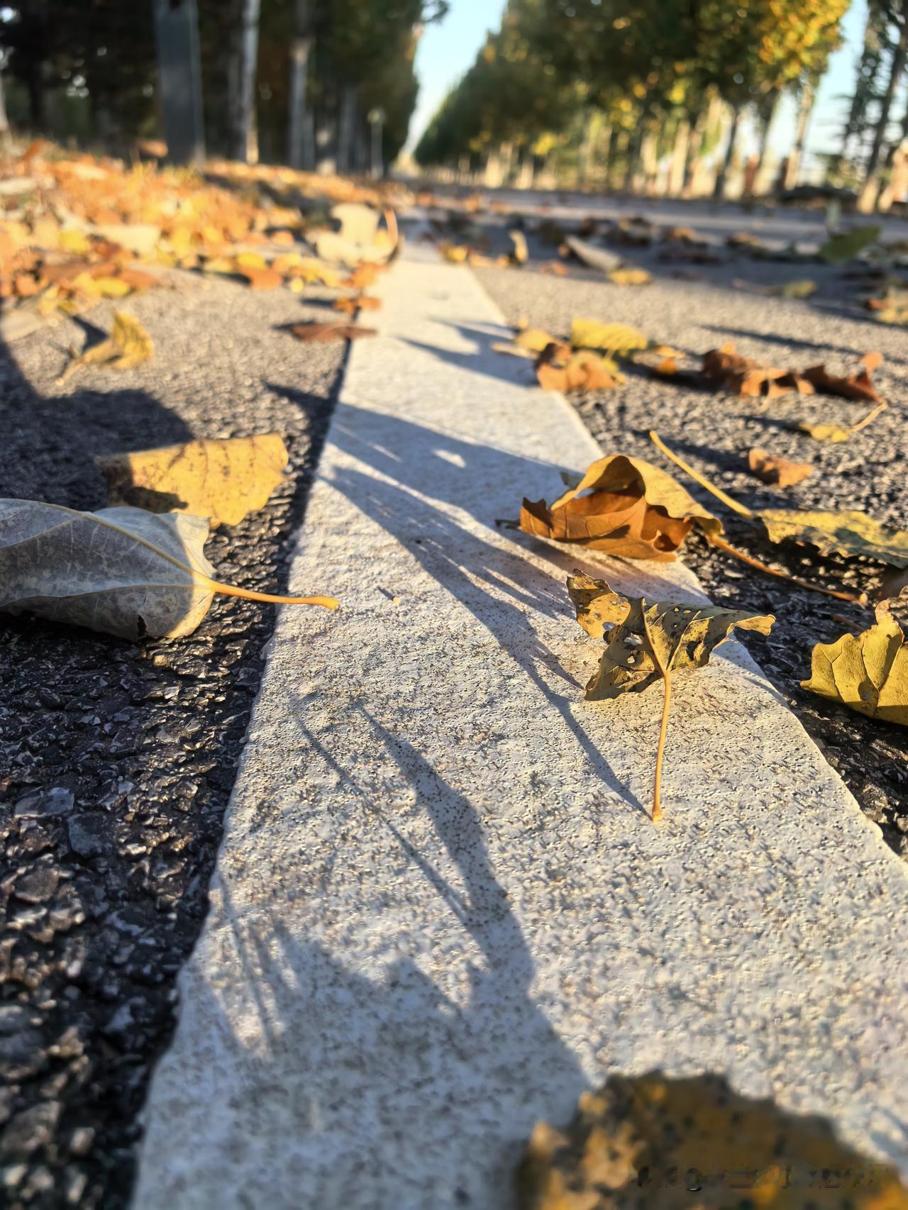 最近在读小尼的书《一夜长大》，通读下来，就一个感觉，松弛感。这个松弛感里面包含着